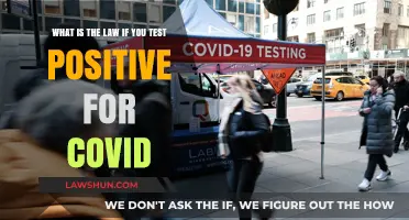 COVID-19 Positive? Understanding Your Legal Rights and Responsibilities