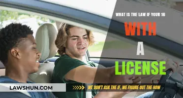 Driving Laws for Newly Licensed Teenagers