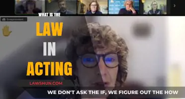 Understanding the Legal Framework Governing the Acting Profession