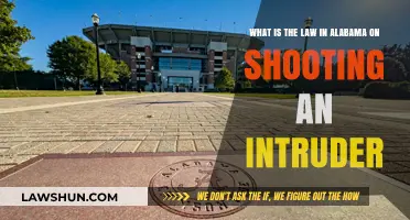 Alabama's Stand Your Ground Law: Shooting Intruders Explained