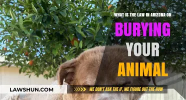 Arizona Pet Burial Laws: What You Need to Know