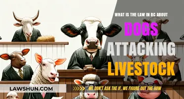 BC Livestock Protection Laws: Understanding Dog Attacks and Legal Consequences