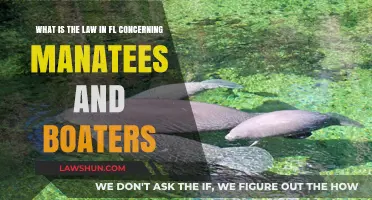 Florida Manatee Laws: Boater Responsibilities and Conservation Rules Explained