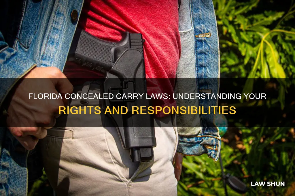 what is the law in flo ida for conceled weapons