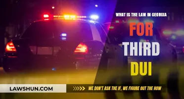 Georgia's Third DUI Law: Penalties, Consequences, and Legal Insights