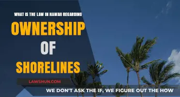 Hawaii's Shoreline Ownership Laws: Public Access vs. Private Rights