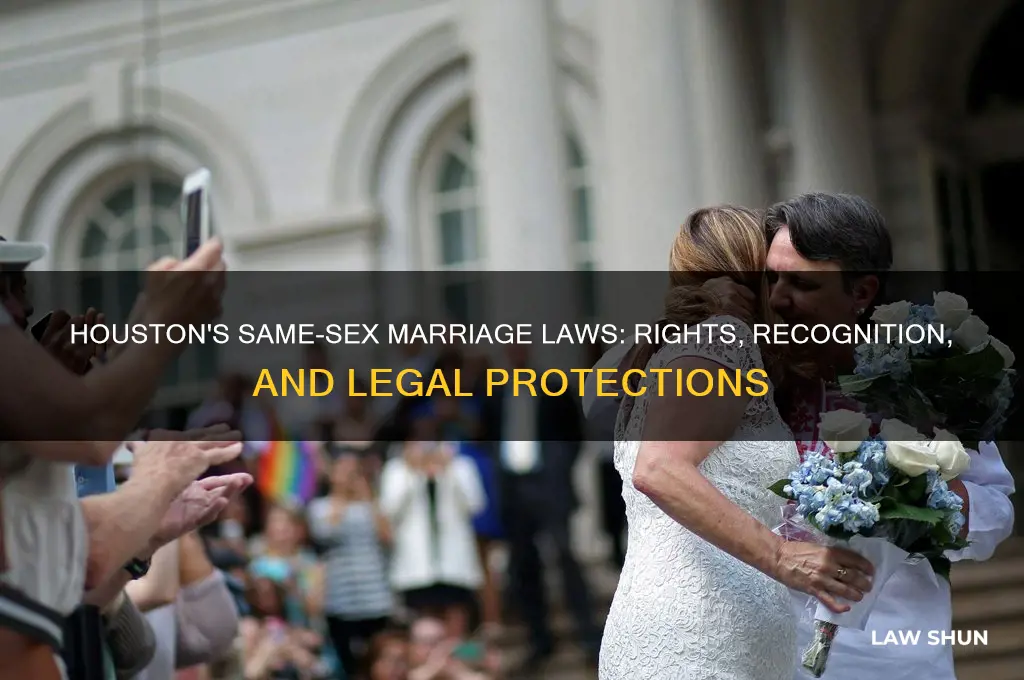 what is the law in houston in same sex marriage