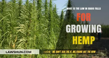 Idaho Falls Hemp Law: Growing Hemp Legally in Idaho