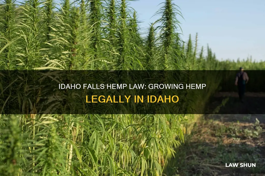 what is the law in idaho falls for growing hemp