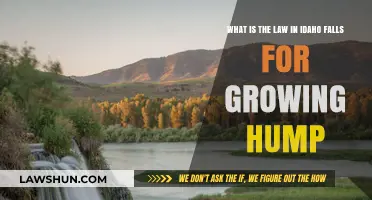 Idaho Falls Law: Growing Hump Regulations Explained for Residents