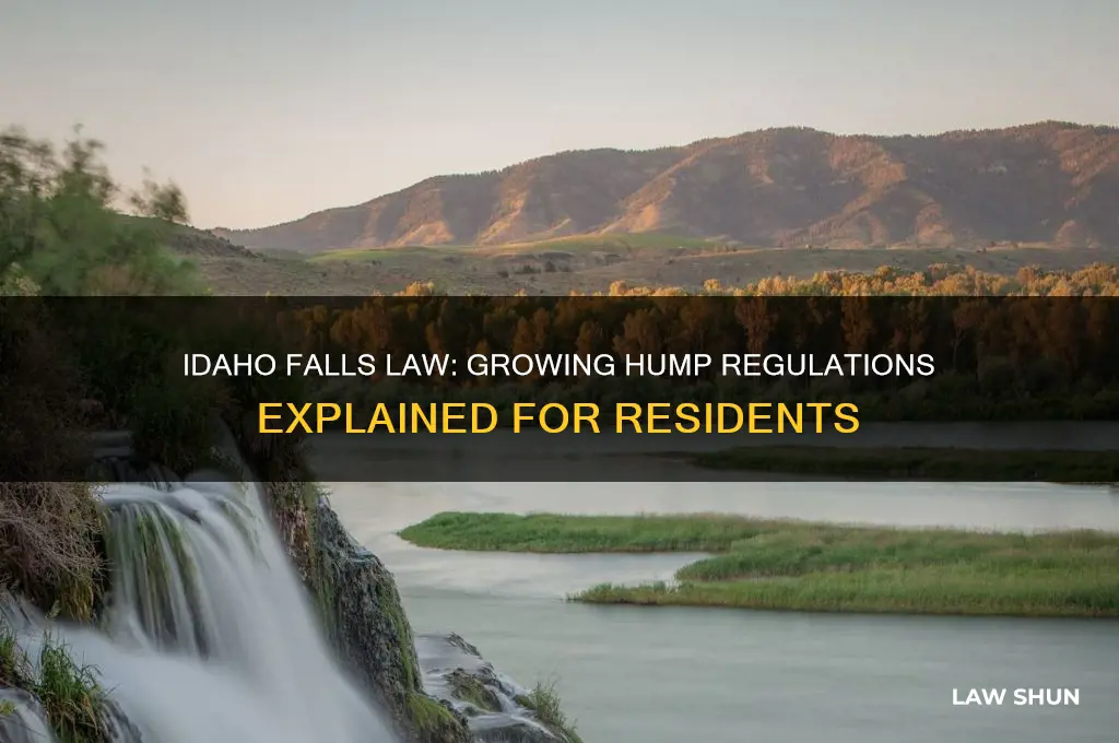 what is the law in idaho falls for growing hump