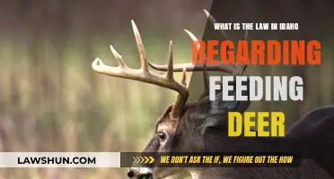 Idaho's Deer Feeding Laws: What You Need to Know