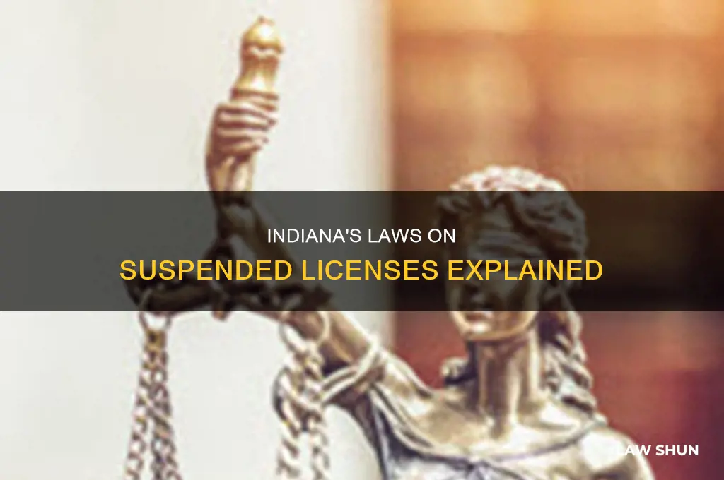 what is the law in indiana on suspended license
