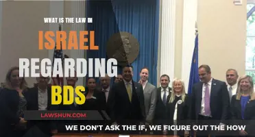 Israel's Anti-BDS Law: Legal Implications and Global Reactions Explained