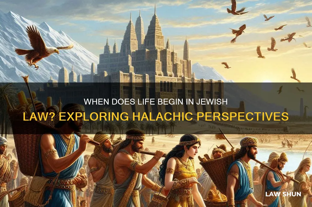what is the law in judaism for when life begins
