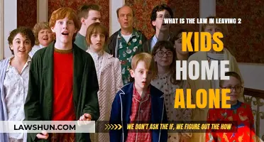 Legal Guidelines for Leaving Two Children Unsupervised at Home