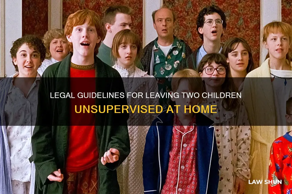 what is the law in leaving 2 kids home alone