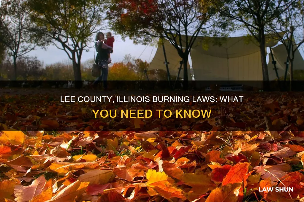 what is the law in lee county illinois on burning