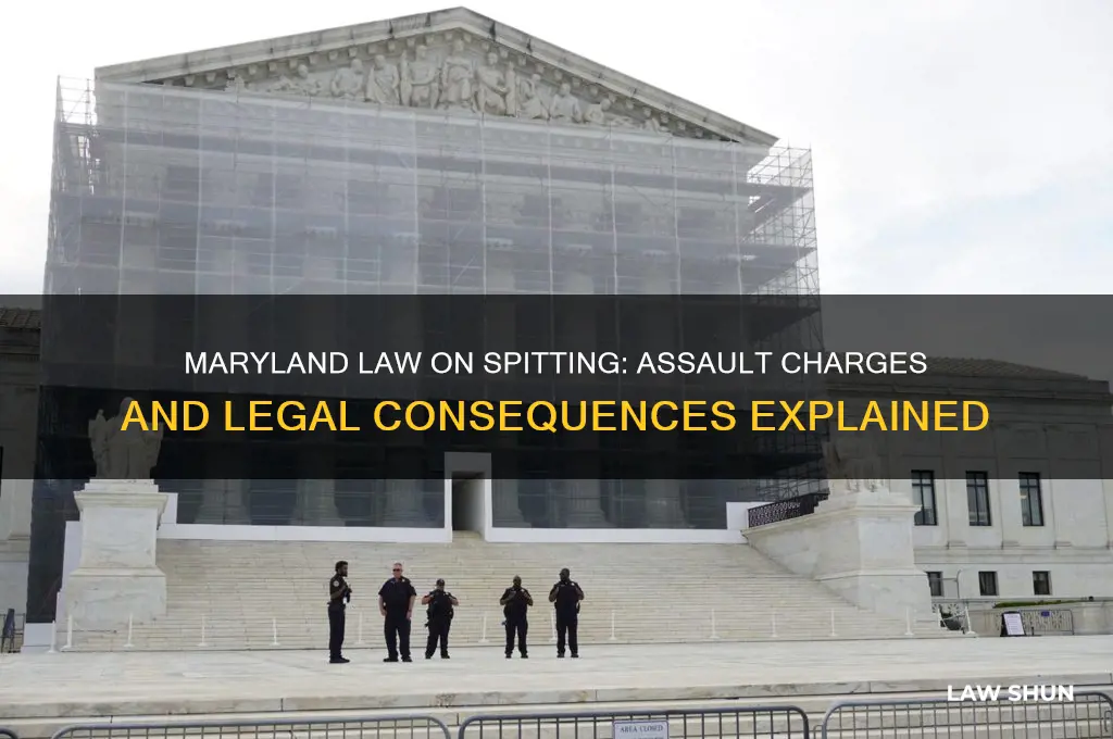 what is the law in md for spitting on someone