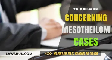Mesothelioma Cases: Understanding Michigan's Laws
