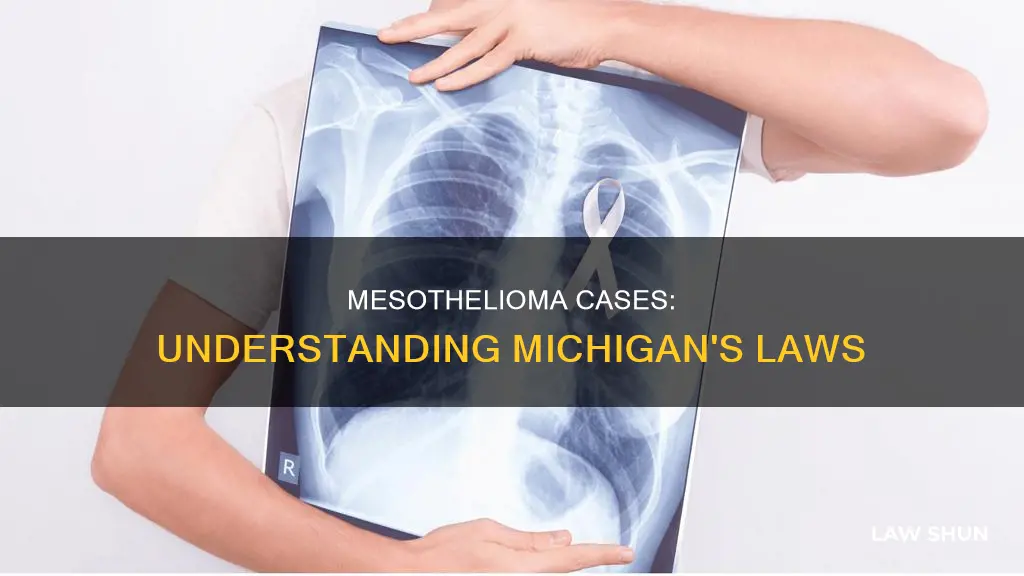 what is the law in mi concerning mesotheiloma cases