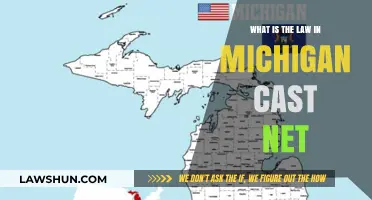 Michigan Cast Net Laws: Understanding Regulations for Anglers and Fishermen
