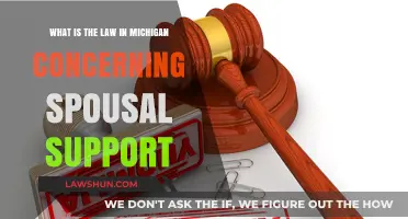 Understanding Michigan Spousal Support Laws: Key Guidelines and Requirements