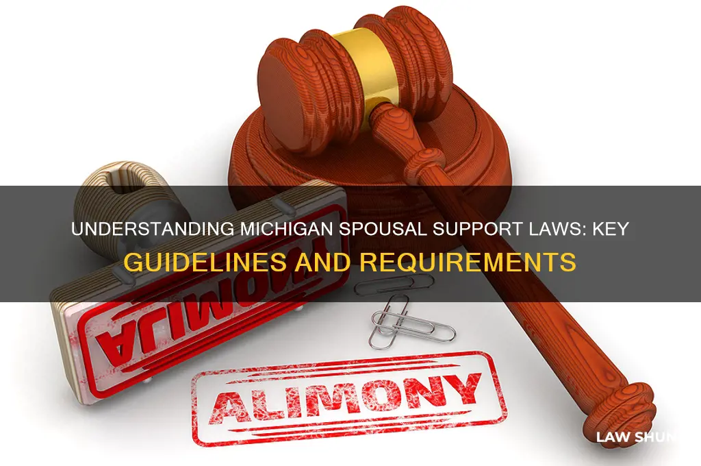what is the law in michigan concerning spousal support