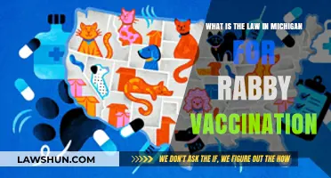 Michigan's Rabies Vaccination Law: Requirements and Compliance Explained