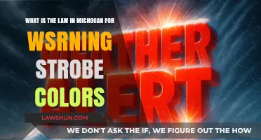 Michigan's Warning Strobe Color Laws: Understanding Legal Requirements