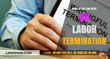 Understanding New York's Labor Termination Laws: Rights and Regulations
