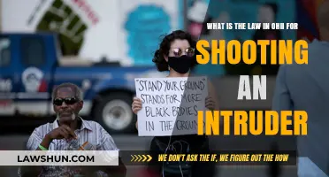 Ohio's Stand Your Ground Law: Shooting Intruders Explained