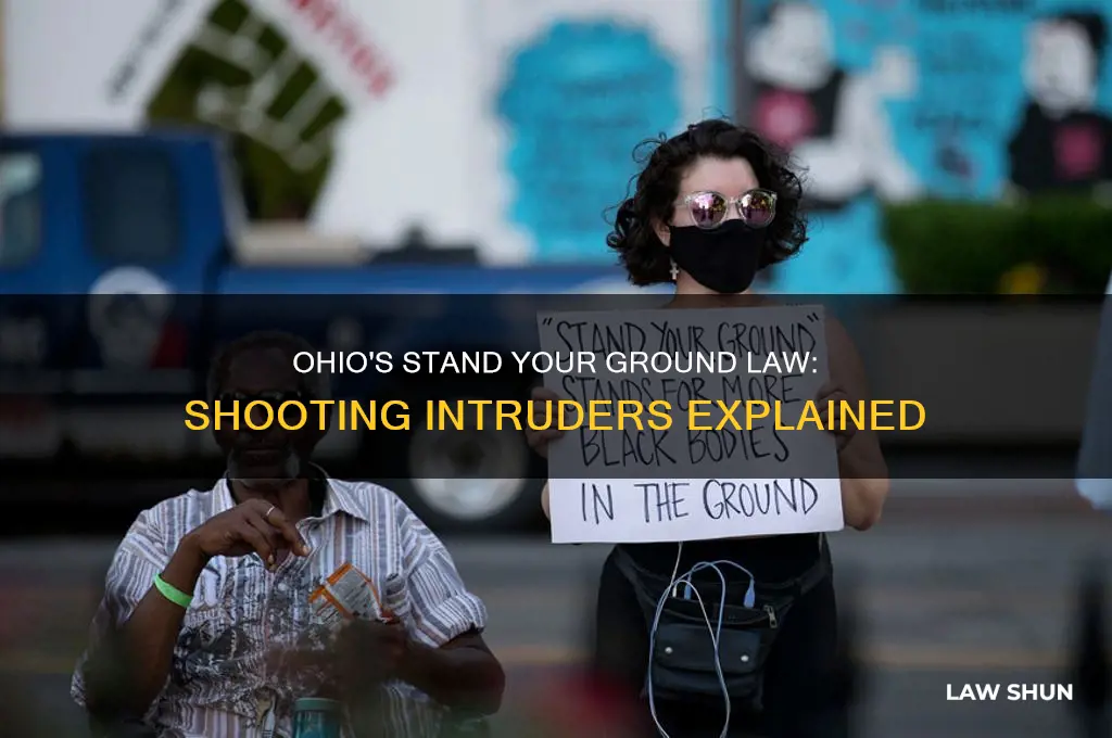 what is the law in ohii for shooting an intruder