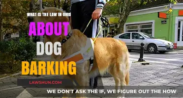 Ohio's Dog Barking Laws: Understanding Noise Ordinances and Pet Owner Responsibilities