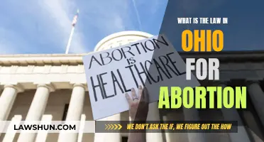 Ohio Abortion Law: Understanding the Legal Complexities