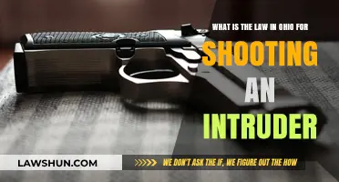 Ohio's Stand Your Ground Law: Shooting Intruders Explained