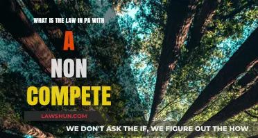 Understanding Pennsylvania's Non-Compete Laws: What You Need to Know