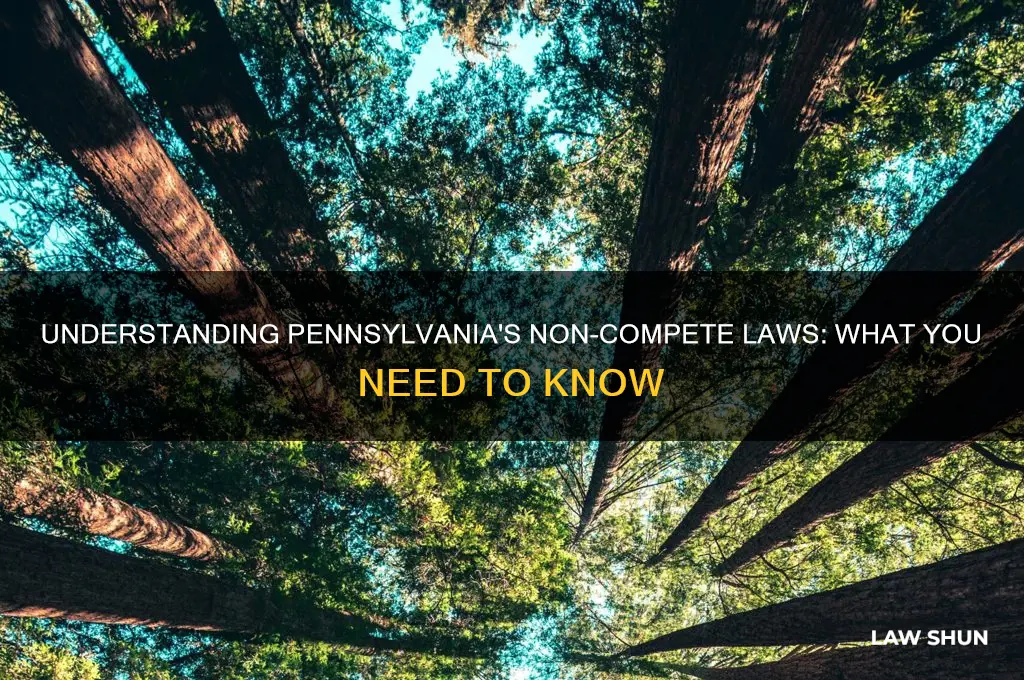 what is the law in pa with a non compete