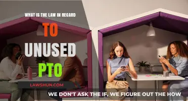 Unused PTO: Understanding Your Legal Rights and Employer Obligations