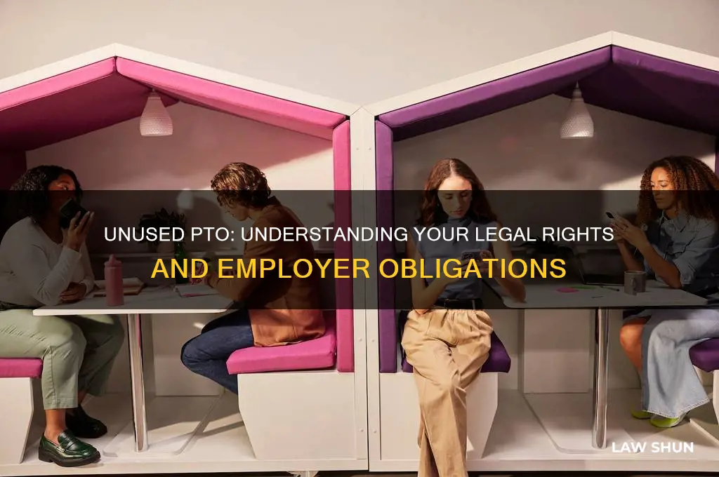 what is the law in regard to unused pto