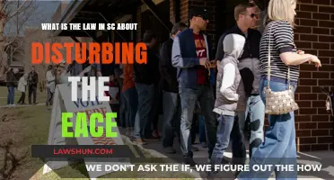 Disturbing the Peace in SC: Understanding the Law and Penalties