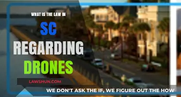South Carolina Drone Laws: Regulations, Restrictions, and Legal Guidelines Explained