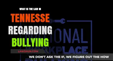 Understanding Tennessee's Anti-Bullying Laws: Rights, Protections, and Consequences