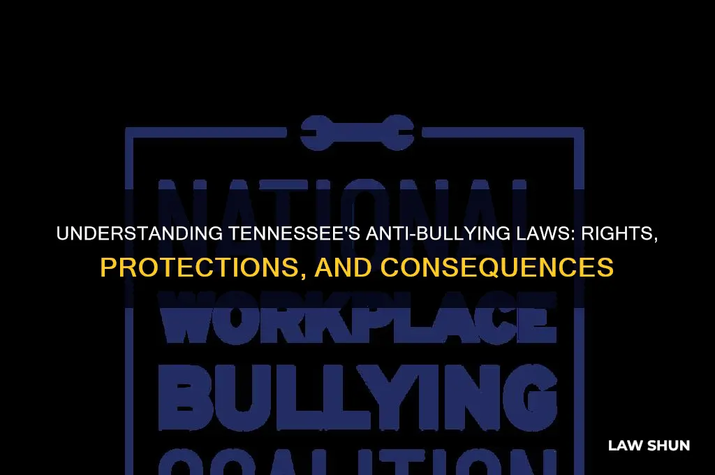 what is the law in tennesse regarding bullying