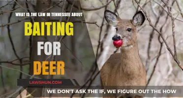 Tennessee Deer Baiting Laws: What Hunters Need to Know