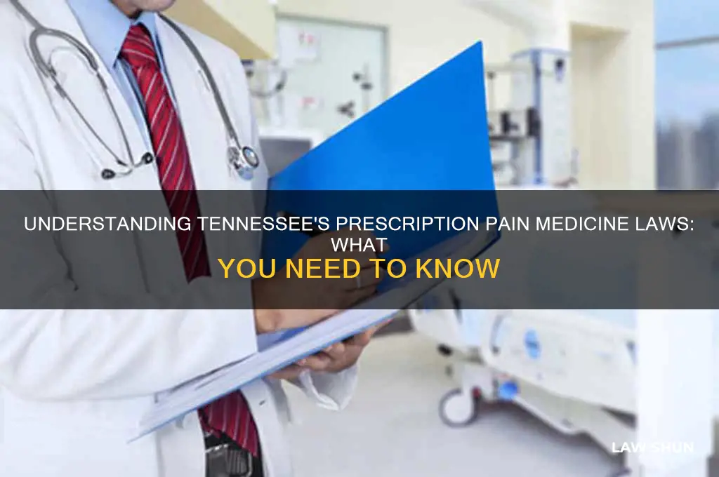 what is the law in tn for prescribtion pain medicine