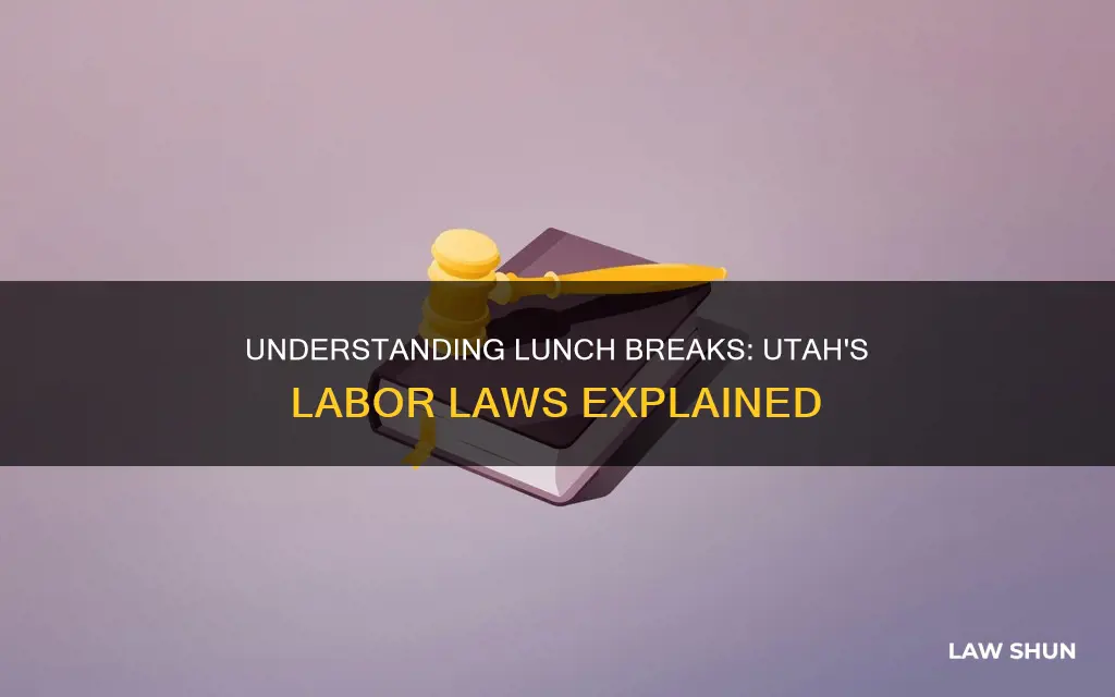 what is the law in utah for lunch and breaks