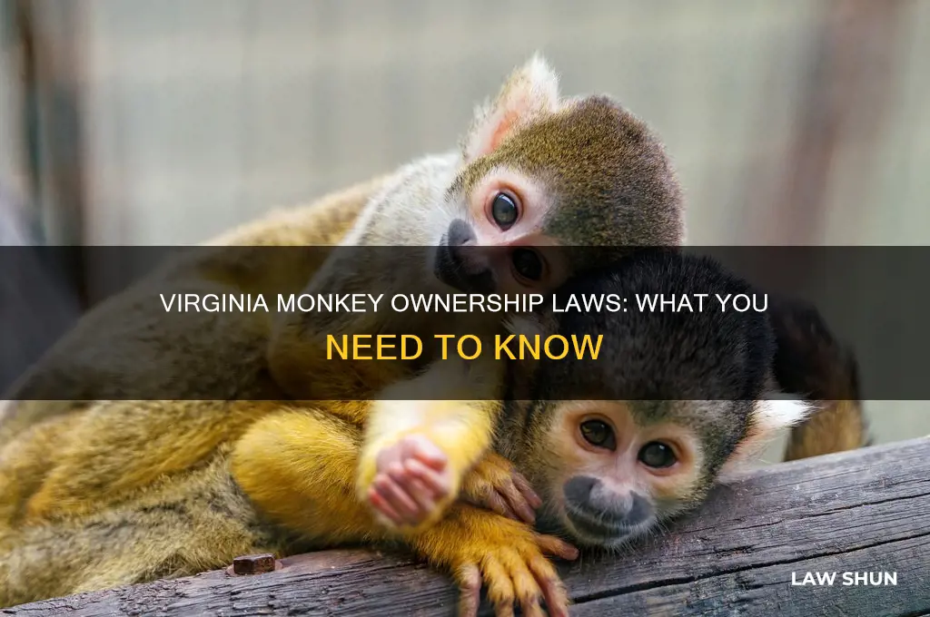 what is the law in va for owning a monkey