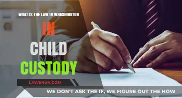 Understanding Washington State's Child Custody Laws: Key Guidelines and Considerations