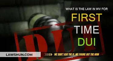 Understanding West Virginia's DUI Laws: First Offense
